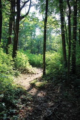 Mattapoisett Land Trust
The 12 preserves in the Mattapoisett Land Trust’s 397-acre Old Aucoot District include the 35-acre Holmes Preserve. Named after the Justice Oliver Wendell Holmes Jr., the preserve includes multiple trails spanning from Angelica Avenue out to Route 6 and in between a vernal pool that has served as an off-campus classroom for local students. Photos by Mick Colageo
