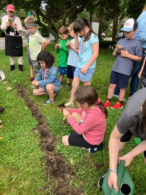 Planting Sunflowers
The Mattapoisett Land Trust and Center School put together an activity whereby first graders planted sunflowers in Dunseith Park in Mattapoisett. The sunflowers teach science to the children, are visible to cars passing by and show solidarity with Ukraine. Photos by Marilou Newell and Don Cuddy
