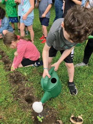 Planting Sunflowers
Center School first graders gathered last week to plant sunflowers in the shadow of Salty the Seahorse. The activity was held by the Mattapoisett Land Trust in collaboration with Center School teachers Courtney Aarsheim, Jennifer Aguiar and Marissa Hughes. Photo by Marilou Newell - June 13, 2024 edition
