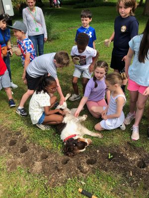 Planting Sunflowers
The Mattapoisett Land Trust and Center School put together an activity whereby first graders planted sunflowers in Dunseith Park in Mattapoisett. The sunflowers teach science to the children, are visible to cars passing by and show solidarity with Ukraine. Photos by Marilou Newell and Don Cuddy
