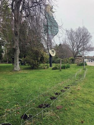 Mattapoisett Land Trust
On May 6, volunteers from the Mattapoisett Land Trust planted over two dozen sunflower seedlings in a row along Route 6 at Dunseith Park, just in front of Salty the Seahorse. Don Cuddy donated the seedlings and organized the planting as a symbolic gesture of MLT standing in solidarity with the people of Ukraine. This summer, it is anticipated that the plants will grow to noticeable heights. Photos courtesy of Mattapoisett Land Trust
