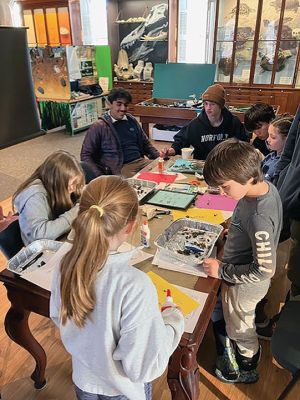 Marion Natural History Museum
On February 14, the Marion Natural History Museum afterschool group had a great time dissecting owl pellets. The students located skulls, both rodent and avian, and other assorted bones. After identification and close inspection under microscopes, these were then mounted on project boards to bring home. The Marion Natural History museum wishes to thank Tabor Academy volunteers Camden Jeppsin, Eddy Yeon, Noah Divon, Ryan Francis and Sulaiman Al Harthy for their help with this project. Photos courtesy Elizabe
