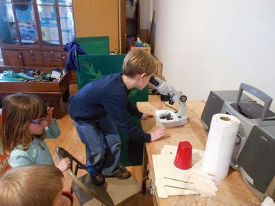 Marion Natural History Museum’s “Composting”
Investigating what makes a healthy soil during the Marion Natural History Museum’s “Composting” afterschool program.  The students took a look at some of the animals that help to break down compost and built a mini-composter to bring home. Photo courtesy Elizabeth Leidhold
