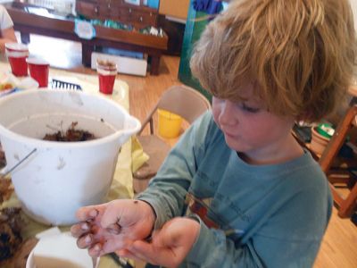 Marion Natural History Museum’s “Composting”
Investigating what makes a healthy soil during the Marion Natural History Museum’s “Composting” afterschool program.  The students took a look at some of the animals that help to break down compost and built a mini-composter to bring home. Photo courtesy Elizabeth Leidhold
