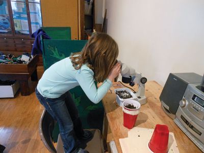 Marion Natural History Museum’s “Composting”
Investigating what makes a healthy soil during the Marion Natural History Museum’s “Composting” afterschool program.  The students took a look at some of the animals that help to break down compost and built a mini-composter to bring home. Photo courtesy Elizabeth Leidhold
