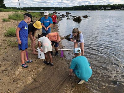 Marion Natural History Museum
The Marion Natural History Museum's Coastal Explorations summer nature program had a wonderful time last week exploring a diverse selection of natural areas. We investigated marshes, bogs, vernal pools, and upland forest habitats and the plants and animals that call these areas home. The museum would like to thank the Marion Harbormaster's office for allowing us access to Bird Island to take a look at some of our more rare and endangered birds and their nesting habitat. Photos courtesy of Elizabeth Leidhold

