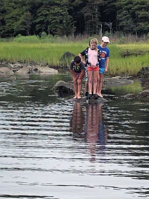 Marion Natural History Museum
The Marion Natural History Museum's Coastal Explorations summer nature program had a wonderful time last week exploring a diverse selection of natural areas. We investigated marshes, bogs, vernal pools, and upland forest habitats and the plants and animals that call these areas home. The museum would like to thank the Marion Harbormaster's office for allowing us access to Bird Island to take a look at some of our more rare and endangered birds and their nesting habitat. Photos courtesy of Elizabeth Leidhold
