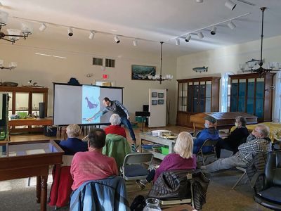 Marion Natural History Museum
The Marion Natural History Museum recently held a workshop on the many apps available to help people identify birds in the field. Justin Barrett, Nasketucket Bird Club president and museum board member, went over how best to use apps from Audubon, Cornell, Sibley and many others. We also learned how to record a bird or birds and have each one identified by call simultaneously. The museum wishes to thank Justin for his interesting presentation, and we look forward to our next walk
