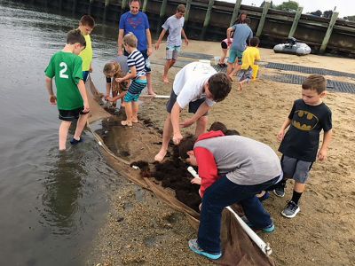 Marion Natural History Museum
The Marion Natural History Museum had a wonderful time netting seashore animals last week, including various crabs, pipefish, a large killifish, perch, roughly 500 pogies, and loads of shrimp. The Museum wishes to thank Stephen Watt and Tabor community service volunteers Ryan Robbins, Nick Grazioso, and Ben Shavuot, and Megan McCullough from ORRHS for their help with the program. Photos courtesy of Elizabeth Leidhold.
