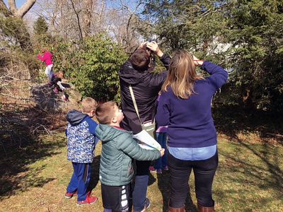 Marion Natural History Museum
Many thanks to Justin and Jess Barrett of the Nasketucket Bird Club for sharing their expertise and helping the Marion Natural History Museum after school group locate many of our spring bird arrivals. We viewed a red-tailed hawk, two vultures, many robins, a downy woodpecker, and many more.  We also learned about each bird's habitat and food sources, and finished our program by making a hanging bird feeder. Photos courtesy Elizabeth Leidhold
