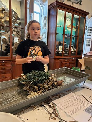 Marion Natural History Museum
After learning how to build a snake hibernaculum, a beaver lodge, and a bear den, the group tried their hand at creating miniatures for museum display. The beaver lodge was tested to see if it held water back and still kept the lodge dry inside. It was a huge success! Feel free to come in to view any of these creations during the museum’s open hours. Photo courtesy Elizabeth Leidhold.
