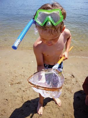 Life Along the Shore 
The Marion Natural History Museum’s Life Along the Shore program enjoyed learning a little something about the crabs that inhabit the Marion shoreline during the July 2013 session. Photos courtesy of Elizabeth Leidhold
