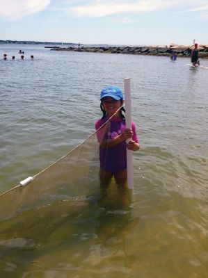 Life Along the Shore 
The Marion Natural History Museum’s Life Along the Shore program enjoyed learning a little something about the crabs that inhabit the Marion shoreline during the July 2013 session. Photos courtesy of Elizabeth Leidhold
