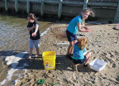 Marion Natural History Museum
The Marion Natural History Museum Seashore Netting program had a fun time inspecting the creatures in our coastal waters. We collected many different species for a closer look, and some of us even took advantage of the beautiful day for a quick swim! For upcoming events at the museum, please visit www.marionmuseum.org. Photos courtesy of Elizabeth Leidhold
