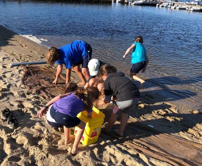 Marion Natural History Museum
The Marion Natural History Museum Seashore Netting program had a fun time inspecting the creatures in our coastal waters. We collected many different species for a closer look, and some of us even took advantage of the beautiful day for a quick swim! For upcoming events at the museum, please visit www.marionmuseum.org. Photos courtesy of Elizabeth Leidhold
