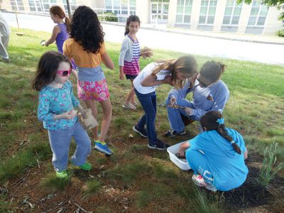 Marion Natural History Museum
The Marion Natural History Museum’s afterschool program enjoyed a beautiful day while inspecting Sippican School grounds for things you normally might not notice.  The students collected several specimens of lichens for their projects and enjoyed a “last day” snack of doughnuts.  Many thanks to Marc Sylvia and Beth Lopes for their help with the program. Photos by Elizabeth Leidhold
