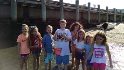 Marion Natural History Museum
The Marion Natural History Museum afterschool group hit the beach Wednesday afternoon.  We found many types of fish, including Puffer fish, Tautogs, and other animals such as Mantis shrimp, and all sorts of crabs. It was a great way to celebrate one of the last days of summer. Many thanks to Sarah Porter and all those parents who helped out. Photo courtesy Elizabeth Leidhold

