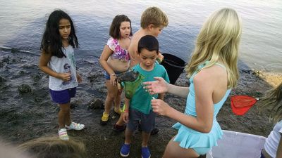 Marion Natural History Museum
The Marion Natural History Museum afterschool group hit the beach Wednesday afternoon.  We found many types of fish, including Puffer fish, Tautogs, and other animals such as Mantis shrimp, and all sorts of crabs. It was a great way to celebrate one of the last days of summer. Many thanks to Sarah Porter and all those parents who helped out. Photo courtesy Elizabeth Leidhold

