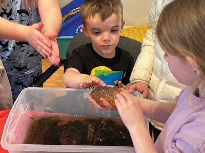 Marion Natural History Museum
The Marion Natural History Museum afterschool group enjoyed learning about Marion's vernal pools last week. We had a chance to handle some wood frog eggs, take a close look at some aquatic invertebrates, and learn about the temporary nature of these important habitats. All specimens were returned safely to their homes after the program. The museum will be open during April vacation week for crafts and exploration. Check out our website, www.marionmuseum.org, for a listing of all of our upcoming programs. Ph
