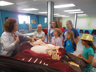 Coastal Explorations II 
Many thanks to Karen Moore Dourdeville for her excellent presentation to the Coastal Explorations II summer program regarding the sea turtles of Buzzards Bay.  The students were able to piece together some of the skeleton of a Loggerhead that washed up in Mattapoisett two years ago.  They hope to be able to reconstruct it for a display in the Museum when it reopens this fall. Photos courtesy Elizabeth Leidhold
