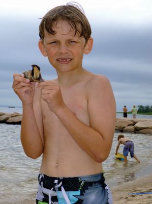 Life Along the Shore 
The Marion Natural History Museum’s Life Along the Shore program enjoyed learning a little something about the crabs that inhabit the Marion shoreline during the July 2013 session. Photos courtesy of Elizabeth Leidhold
