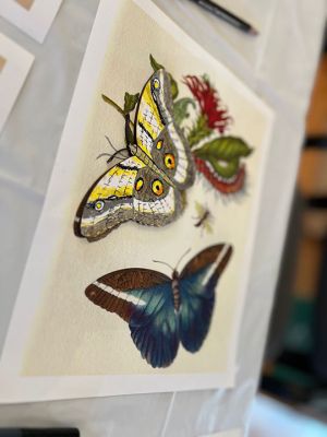 Marion Natural History Museum
On November 29, the Marion Natural History Museum community group had fun crafting a distinctive butterfly mobile for the museum, drawing inspiration from the detailed illustrations of Maria Sibylla Merian. In this workshop, the participants combined historical accuracy with modern design to produce a captivating display that will hang above our antique butterfly case. Using life-sized, woodcut butterflies, we had fun using a variety of materials to capture their beauty. Many thanks to Karen Alves Cronin an
