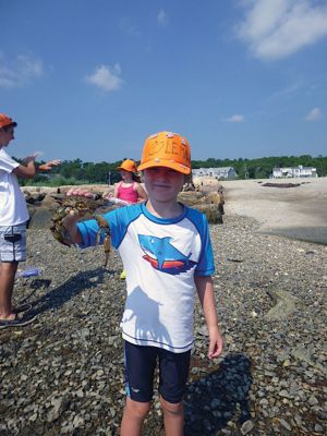 Life Along the Shore 
The Marion Natural History Museum’s Life Along the Shore program enjoyed learning a little something about the crabs that inhabit the Marion shoreline during the July 2013 session. Photos courtesy of Elizabeth Leidhold
