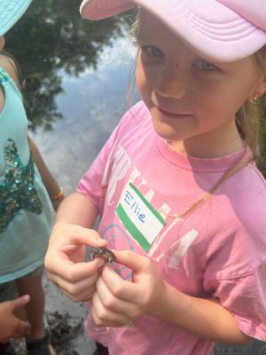 Marion Natural History Museum
The Marion Natural History Museum's Coastal Explorations summer program had a chance to view some of the area's amphibian and reptile species at Washburn Park last week. The kids found painted turtles, a garter snake, bull frog tadpoles, green frog tadpoles and salamander larvae. All animals were inspected by the kids and then released in the same locations from which they were collected. Photo courtesy Elizabeth Leidhold
