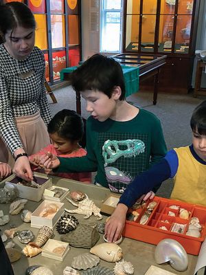 Marion Natural History Museum 
The Marion Natural History Museum wishes to thank Paul Gregory for sharing his collection of shells and fossils with students who wish to start their own. Along with perusing guidebooks to identify an item, we learned the importance of the history of the artifact, where and when it was collected and by whom. Natural history museums are wonderful resources for students, artists and scientists. 
