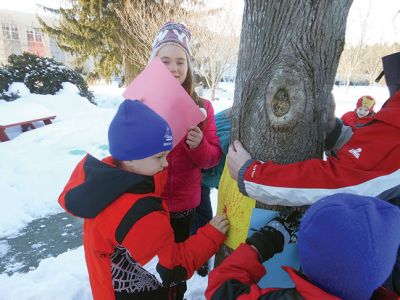 Marion Natural History Museum
Last week the Marion Natural History Museum’s afterschool crew explored a variety of ways to identify trees without their leaves. By looking at bark, leaf scar arrangement and even using their sense of smell, the students had a chance to explore trees and woody shrubs without their usual foliage.  Photo courtesy Elizabeth Leidhold
