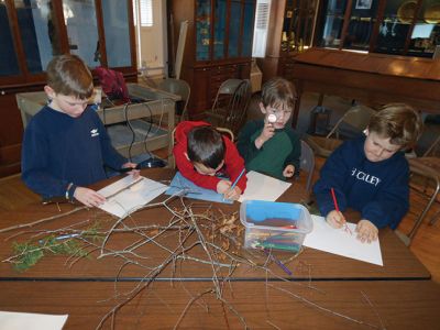 Marion Natural History Museum
Last week the Marion Natural History Museum’s afterschool crew explored a variety of ways to identify trees without their leaves. By looking at bark, leaf scar arrangement and even using their sense of smell, the students had a chance to explore trees and woody shrubs without their usual foliage.  Photo courtesy Elizabeth Leidhold
