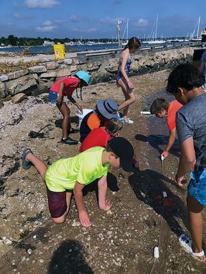 Marion Natural History Museum
The Marion Natural History Museum's Coastal Exploration group had a wonderful time last week exploring Marion's shoreline, inland wetlands and woodland areas. We collected examples of plankton, caught fish and frogs in our nets, investigated tide pools and took trips to Bird and Ram Island. The museum would like to thank Hannah Moore and David Wilson and Andrew Miller of the Marion Harbormaster Department for their help in making it such a special week. Photo courtesy of Elizabeth Leidhold

