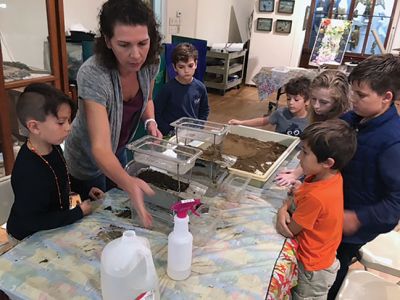 Marion Natural History Museum
On Wednesday, the Marion Natural History Museum's after school group created a soil profile for the museum and took an inventory of the creatures in different types of soils. The students also learned with the use of a rain-simulator that soil that is too well worked will compact, and water will run off the top instead of getting to the roots of plants. 
