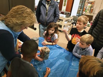 Marion Natural History Museum
The Marion Natural History Museum's afterschool group would like to thank Dawn Gates-Allen of the Cape Cod Cranberry Growers Association for the enjoyable program involving one of Southeastern Massachusetts’ most important crops. We took a close look at the insides of cranberries to discover what makes them float, counted seeds - which tell us how many times a plant was fertilized by a bee – and had a chance to see how far we could "bounce" a berry. Photos courtesy Elizabeth Liedhold
