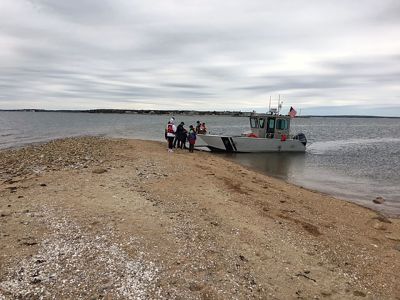 Marion Natural History Museum
Over the past two Wednesdays, the MNHM afterschool group visited Bird Island courtesy of Isaac and Peter of the Marion Harbormaster's office. We observed many terns arriving to this crucial nesting spot, as well as oystercatchers, gulls, and a pair of Canadian geese. We inspected nesting boxes prepared by the state Fish & Wildlife department and the habitat restoration improvements to the island. We also toured the 200-year-old lighthouse. 
