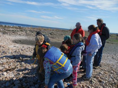 Bird Island Trip
The Marion Natural History Museum after-school group enjoyed another perfect trip to Bird Island with the Marion Harbormaster’s Department. The students saw the arrival of some of the first terns back to the island, along with a couple of Oystercatchers and their eggs.  Many, many thanks to the Marion Harbormaster’s Department for helping us to explore this valuable and unique habitat.  Photos by Elizabeth Leidhold
