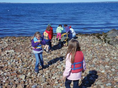 Bird Island Trip
The Marion Natural History Museum after-school group enjoyed another perfect trip to Bird Island with the Marion Harbormaster’s Department. The students saw the arrival of some of the first terns back to the island, along with a couple of Oystercatchers and their eggs.  Many, many thanks to the Marion Harbormaster’s Department for helping us to explore this valuable and unique habitat.  Photos by Elizabeth Leidhold
