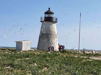 Bird Island
Many thanks to Marion Harbormaster Isaac Perry and the whole harbormaster crew for giving us the experience of a lifetime exploring the nesting habitats of the Common and Roseate Terns when they're in our area. Bird Island has had an extensive amount of work done to promote successful nesting habitat for these species, and it looks like it has paid off.  The students had a blast, carefully walking around birds’ eggs and nests on their way to the Bird Island Lighthouse for a quick tour to the top to learn a 
