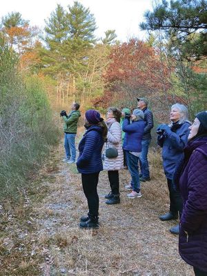 Marion Natural History Museum 
The Marion Natural History Museum community group and the Nasketucket Bird Club had a wonderful birding walk on November 16 led by Justin Barrett. We were able to identify over 18 different species of birds including belted kingfishers, golden-crowned kinglets, and red-breasted Nuthatches. We were also able to see two River Otters peering at us from the icy pond. Keep watching the Museum's website, marionmuseum.org, for future birding trips. Photo courtesy of Elizabeth Leidhold
