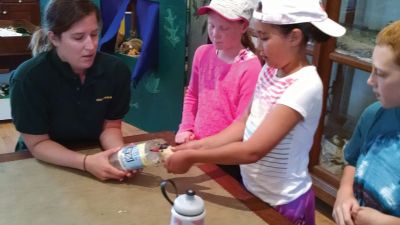 Marion Natural History Museum
The Marion Natural History Museum's Coastal Exploration summer program had a guest speaker from the Department of Fisheries and Wildlife in anticipation of our trip to Bird Island next week. We received some background on the importance of our local nesting sites, and learned how to weigh "tern" eggs and baby tern chicks. Many thanks to wildlife biologist Megan Gensler for sharing her time and expertise to work with our group. Photo Courtesy Elizabeth Leidhold
