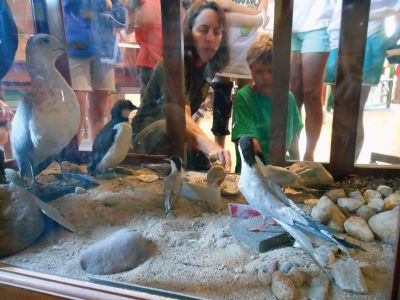 Marion Natural History Museum
The Marion Natural History Museum summer programs Life Along the Shore and Coastal Explorations 1 enjoyed a day of crabbing at Silvershell Beach while Coastal Explorations II group was out kayaking and discovering a little about water quality issues on the Sippican and Weweantic Rivers. Looking forward to more fun next week!
