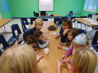 Marion Natural History Museum
Last week the Marion Natural History Museum’s afterschool program welcomed the Cape Cod Cranberry Grower’s educator Dawn Allen. Students learned how to tell a ripe cranberry from a spoiled one and who some of the animals are that are found on a bog. They were able to try on the same types of waders the Ocean Spray guys wear on the tv commercials. The Museum’s next program is Nature Crafts, on December 12th.  
