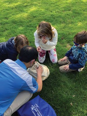 Marion Natural History Museum
The Marion Natural History Museum afterschool group had a wonderful time learning about “Amazing Arthropods” with entomologist Blake Dinius of Plymouth County Extension Service. Members of the group were able to handle a couple of beautiful Io moths, which as caterpillars feed on maple leaves. The adult moths emerge with no mouths and only live in this stage for one to two weeks.  Photos courtesy Elizabeth Leidhold
