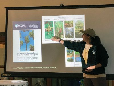 Marion Natural History Museum
Thanks to state forester Felicia Hubacz, the Marion Natural History Museum offered a program on forestry health last week. We learned a little about some of the pests that are plaguing our local trees, such as the emerald ash borer, the Asian long horned beetle, and the gypsy moth. We also had an opportunity to learn what types of pests are affecting our white pine and red pine populations and why and what the state Department of Conservation and Recreation is doing to combat this issue, including the intro
