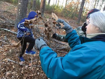 Marion Natural History Museum
Despite the impending Polar Vortex, a small hardy group learned to identify some our local trees and shrubs in winter. Have you ever smelled a black cherry? (Yuck!) Or a yellow birch? (Yum!) We learned about opposite and alternate leaf arrangement on a branch, what lenticels look like on a birch and a hickory, and that you can make tea out of sassafras. Thank you to Sarah Porter for the great program. Photos courtesy Elizabeth Leidhold
