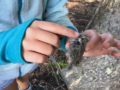 Marion Natural History Museum
On Wednesday, October 23 the Marion Natural History Museum's afterschool group went on a fall nature walk looking for signs of fall. One lucky student found an owl pellet under a tree! We were able to find burrows, nests, and even a small snake hiding under a log. We observed the different colors of the leaves of trees and shrubs and looked for mushrooms. It was great to spend such a beautiful fall day with these inquisitive kids! 
