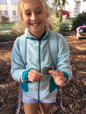 Marion Natural History Museum
On Wednesday, October 23 the Marion Natural History Museum's afterschool group went on a fall nature walk looking for signs of fall. One lucky student found an owl pellet under a tree! We were able to find burrows, nests, and even a small snake hiding under a log. We observed the different colors of the leaves of trees and shrubs and looked for mushrooms. It was great to spend such a beautiful fall day with these inquisitive kids! 
