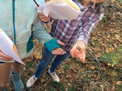 Marion Natural History Museum
On Wednesday, October 23 the Marion Natural History Museum's afterschool group went on a fall nature walk looking for signs of fall. One lucky student found an owl pellet under a tree! We were able to find burrows, nests, and even a small snake hiding under a log. We observed the different colors of the leaves of trees and shrubs and looked for mushrooms. It was great to spend such a beautiful fall day with these inquisitive kids! 
