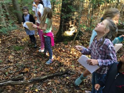 Marion Natural History Museum
On Wednesday, October 23 the Marion Natural History Museum's afterschool group went on a fall nature walk looking for signs of fall. One lucky student found an owl pellet under a tree! We were able to find burrows, nests, and even a small snake hiding under a log. We observed the different colors of the leaves of trees and shrubs and looked for mushrooms. It was great to spend such a beautiful fall day with these inquisitive kids! 
