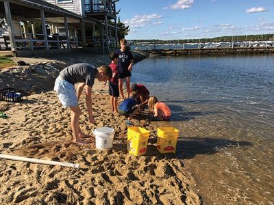 Marion Natural History Museum
During our after-school netting program at the Harbormaster's beach, the students had a chance to study a variety of our seashore animals. The totals were: 278 silversides, 14 mummichogs, 1 pipefish, 15 glass shrimp, 10 moon jellies, 1 sea nettle and 3 sea robins. There were many other larger fish but we couldn't get close enough to identify them. We were lucky enough to have a warm sunny day to enjoy the activity, and the museum would like to thank the student helpers from both Tabor Academy and ORRHS. 
